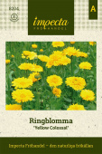 Ringelblume 'Yellow Colossal'