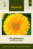Ringelblume 'Greenheart Yellow'