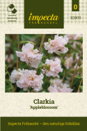 Mandelröschen 'Appleblossom', Gefüllte, cremeweiße Blüten mit zartem Apfelblüten-Rosa an langen, kräftigen Stängeln. 