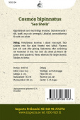 Schmuckkörbchen 'Sea Shells'