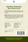 Chinesische Nelke 'Black & White Chianti'