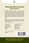 Buschige Kapringelblume  'Queen Salmon'