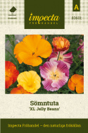 Kalifornischer Mohn 'XL Jelly Beans', Ein- und mehrfarbig in warmen Orange-, Gelb-, Rosa-, Lila- und Rottönen.
