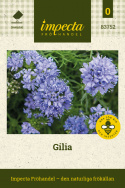 Vogeläuglein, Entzückende, lavendelblaue Sternblüten in dichten, runden Blütenständen an geraden Stängeln. 