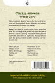 Atlasblume 'Orange Glory'