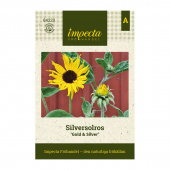 Silberblatt Sonnenblume 'Gold & Silver'