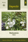Garten-Balsamine 'White'