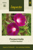 Purpur-Prunkwinde 'Crimson Rambler'