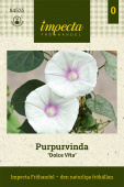 Purpur-Prunkwinde 'Dolce Vita'