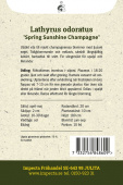 Duftwicke'Spring Sunshine Champagne'