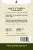 Marokkanisches Leinkraut 'Fantasista White'