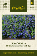Männertreu F1 'Masterpiece Blue with Eye', Sehr kompakte, flachkugelige Sorte, mit zahlreichen tiefblauen Blüten mit weißem Auge.