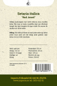 Kolbenhirse 'Red Jewel'