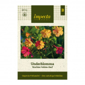 Wunderblume 'Marbles Yellow-Red'