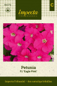 Großblütige Petunie ‘Eagle Pink‘