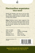Silberiger Harfenstrauch 'Silver Shield'