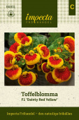 Knollenblume F1 'Dainty Red Yellow'