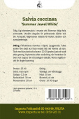 Scharlachroter Salbei 'Summer Jewel White'