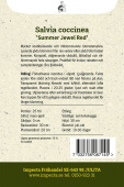 Scharlachroter Salbei 'Summer Jewel Red'