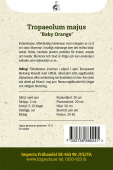 Kapuzinerkresse 'Baby Orange’