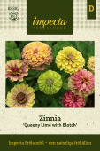 Zinnie 'Queeny Lime with Blotch'