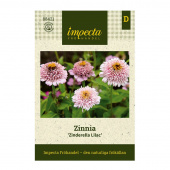 Zinnie 'Zinderella Lilac'