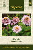 Zinnie 'Zinderella Lilac'
