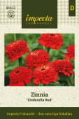 Zinnie 'Zinderella Red'