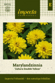Marylandzinnie 'Zahara Double Yellow'
