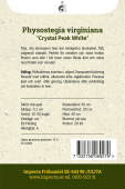 Gelenkblume 'Crystal Peak White'