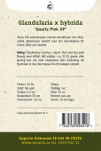 Verbene ’Quartz XP Pink'