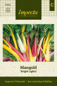 Mangold 'Bright Lights'