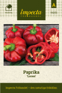 Paprika 'Loran', Schöne, flachrunde und gerippte Früchte. Reift von grün-violett nach tiefrot. 