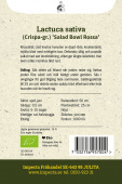 Pflücksalat 'Salad Bowl Rossa'