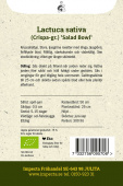 Pflücksalat 'Salad Bowl'