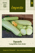 Zucchini 'Long White from Sicily'