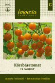 Kirschtomate F1 'Sungold'
