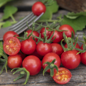 Wildtomate 'Currant Red'