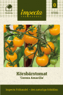 Kirschtomate 'Cereza Amarilla', Goldgelbe, runde Früchte von etwa 15-20 Gramm mit einer fantastisch feinen Balance zwischen Süße und Säure. 