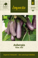 Aubergine 'Slim Jim', Hellviolette bis violette, längliche Früchte (etwa 15 cm lang) in Trauben.