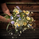 Saatgutpaket Schnittblumen ''Blau und Gelb''